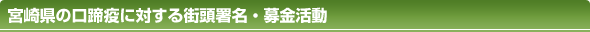 宮崎県の口蹄疫に対する街頭署名・募金活動