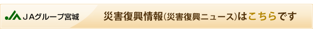 最新の震災復興情報はこちらです