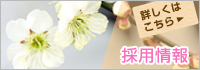 採用情報