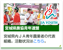 宮城県農協青年連盟の活動状況はこちら