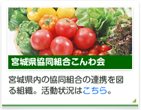 宮城県協同組合こんわ会の活動状況はこちら