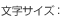 文字サイズ