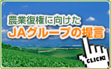 JAグループの提言案