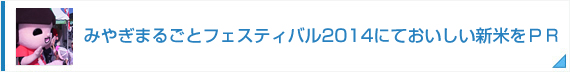 みやぎまるごとフェスティバル2014にておいしい新米をＰＲ