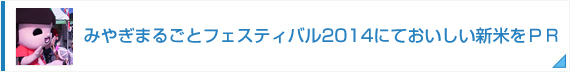 みやぎまるごとフェスティバル2014にておいしい新米をＰＲ