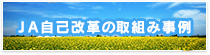 ＪＡ自己改革の取組み事例
