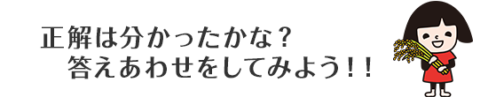 正解は分かったかな？ 答えあわせをしてみよう！！