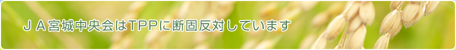 ＪＡ宮城中央会はTPPに断固反対しています